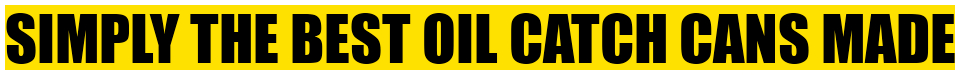 Saikou Logo Strip